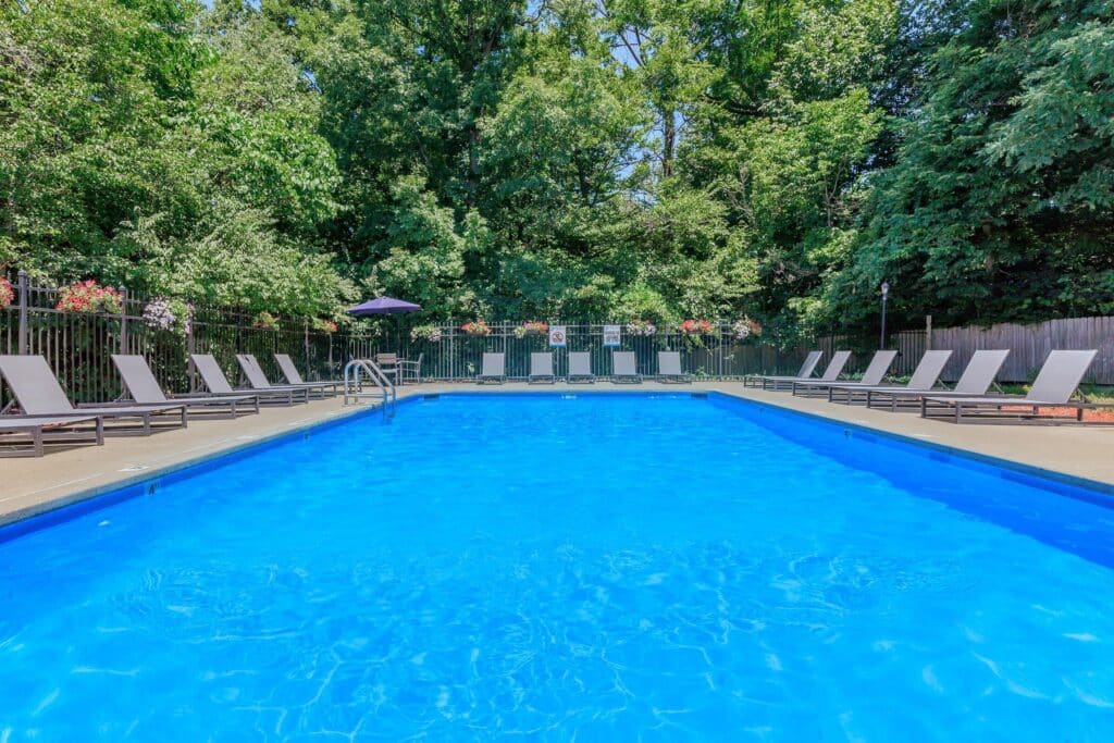 Rectangular outdoor swimming pool with clear blue water, surrounded by lounge chairs and trees, on a sunny day.