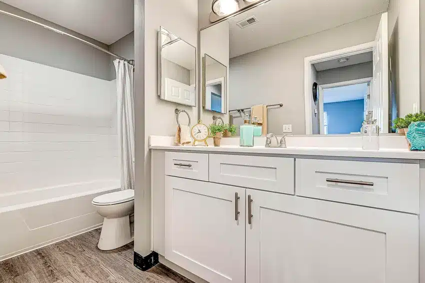 Modern bathroom with a white vanity, chrome fixtures, decorative plants, a bathtub with a white curtain, and a wall-mounted mirror above the sink.