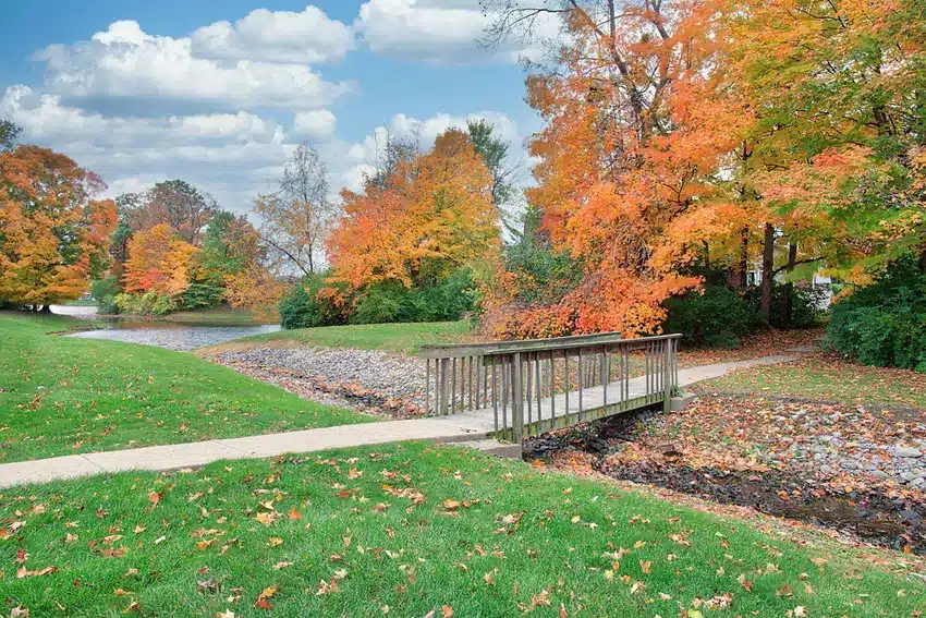 A small wooden footbridge crosses a shallow stream in a park with green grass and colorful autumn trees under a partly cloudy sky.