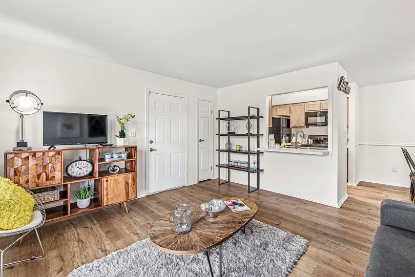 A modern living room with wooden floors, a TV on a console, bookshelf, coffee table, gray rug, and a view into a kitchen through a serving hatch.