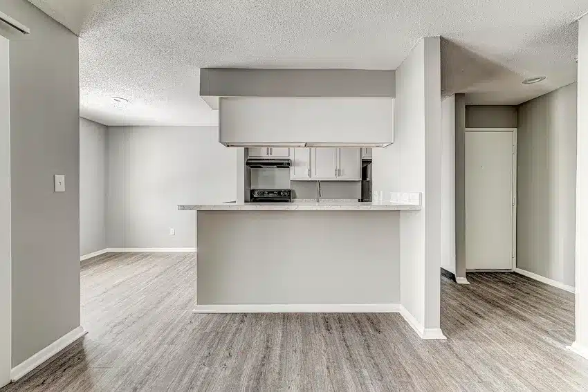 Modern apartment interior with gray walls, wood-style flooring, a small kitchen with white cabinets, and an open dining area.