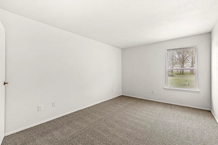 Empty room with white walls, gray carpet flooring, a closed white door on the left, and a single window on the right letting in natural light.