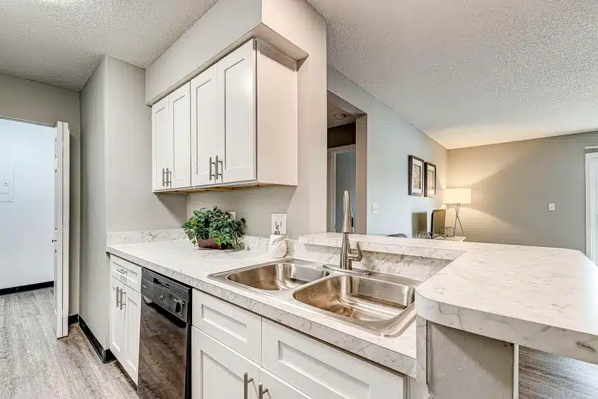 Modern kitchen with white cabinets, marble countertops, stainless steel double sink, dishwasher, and a small potted plant on the counter. Living area visible in the background.