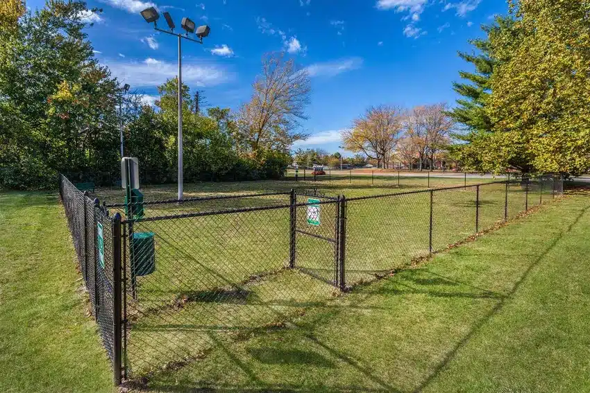 A fenced dog park area with a waste station, green grass, trees in the background, and tall light poles under a clear blue sky.