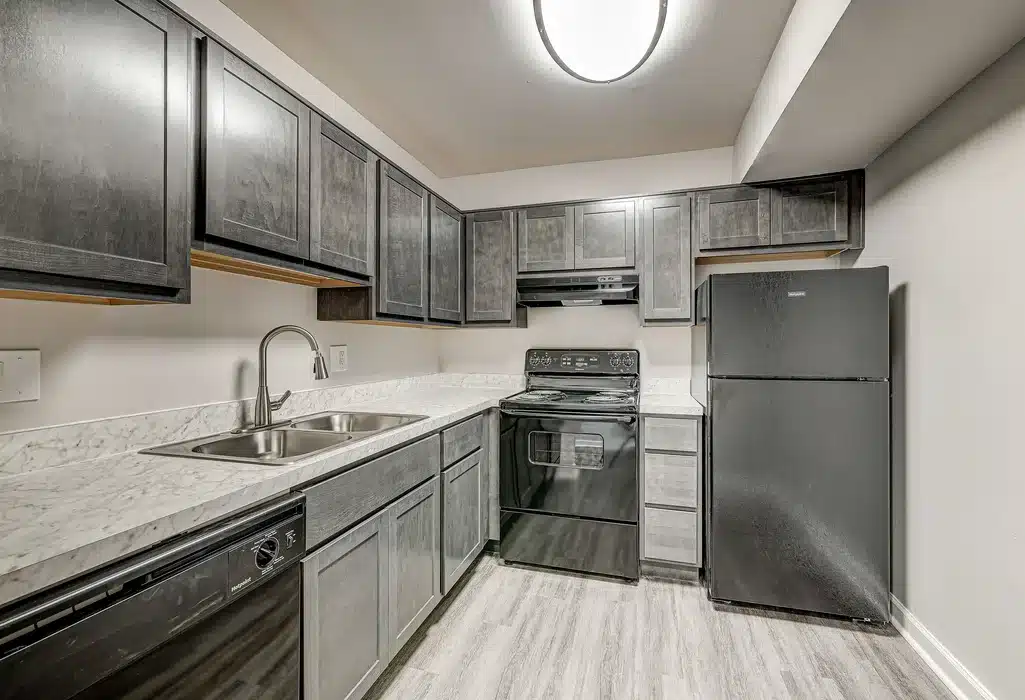 Modern kitchen with dark cabinets, marble-pattern countertops, black appliances including stove, refrigerator, dishwasher, and a double sink under a ceiling light.